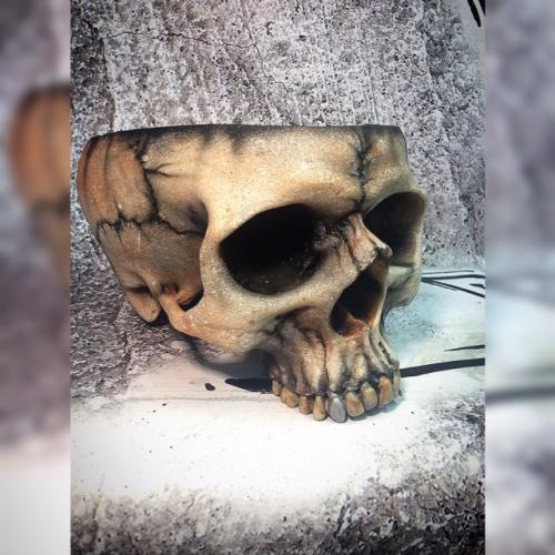 Skull Planter