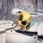 Resin Skull Key Chain