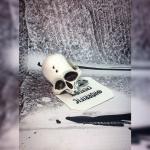 Resin Skull Key Chain